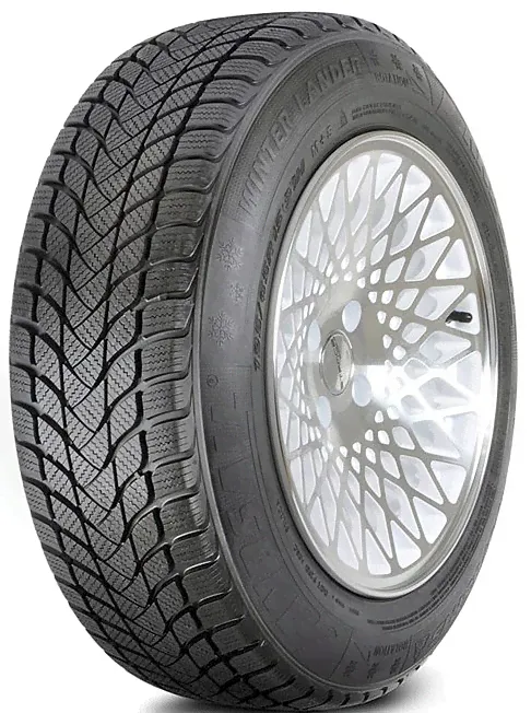 DELMAX SNOW HUNTER 195/55R16 91H-3