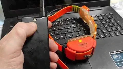 hunter 25000 pro. КАК привязать ошейник