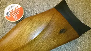 Diana 470 target Hunter with Vector optics marksman 10x44 and Most recommended pellets