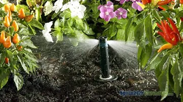 5-CST-B Hunter Bubbler Nozzle