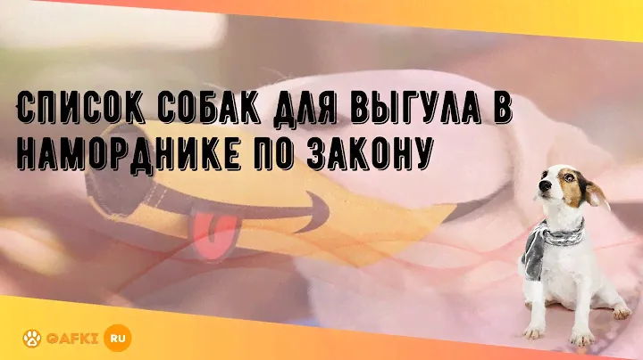 Список собак для выгула в наморднике по закону